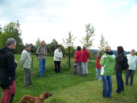 Start zur Wildapfelblütenwanderung am Meridianstein in Altenberg